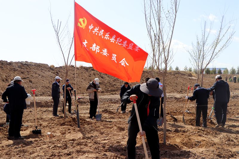 县纪委监委机关开展义务植树造林活动