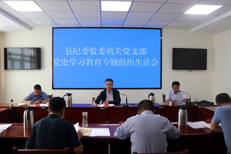 县纪委监委机关党支部召开党史学习教育专题组织生活会