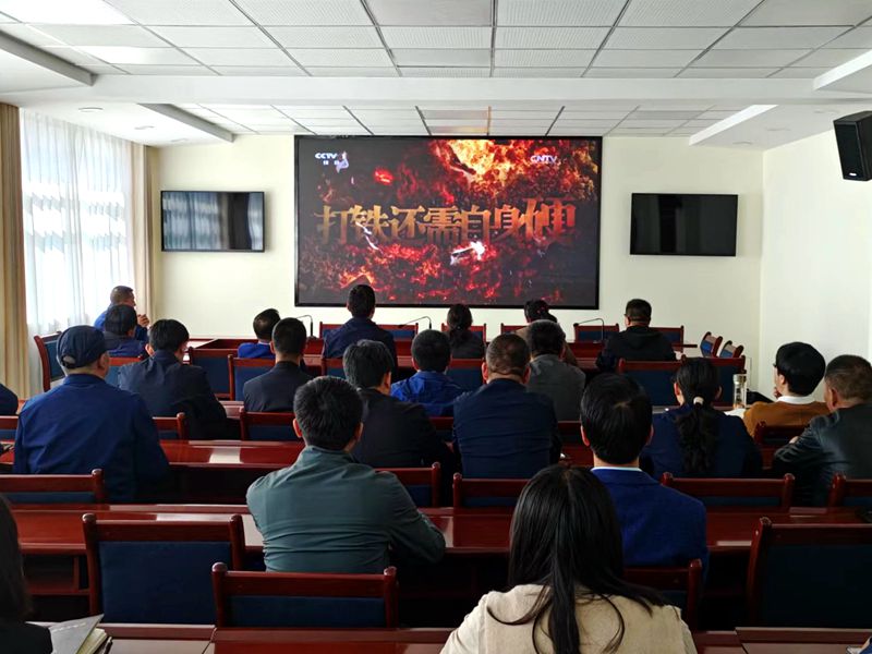 县纪委监委机关党支部联合开展“五个一” 主题党日活动