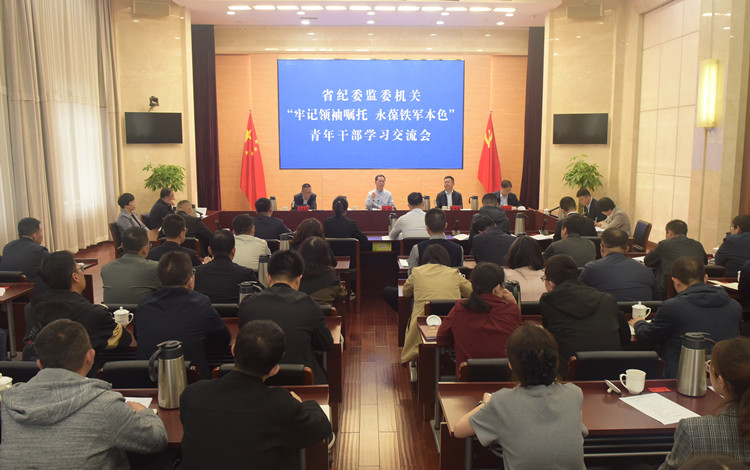 省纪委监委机关举行“牢记领袖嘱托 永葆铁军本色”青年干部学习交流会