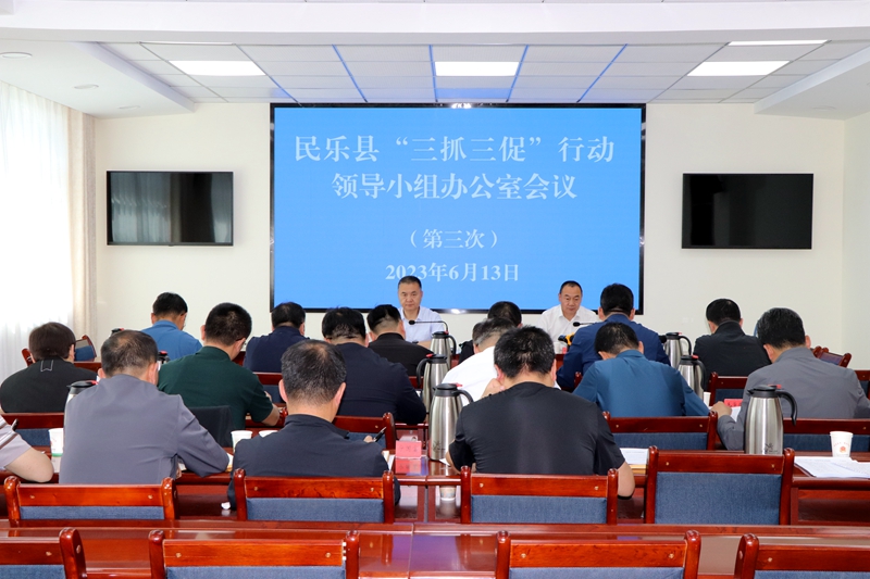 全县“三抓三促”行动领导小组办公室第三次会议召开