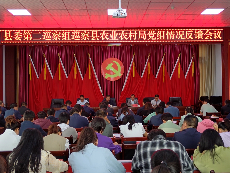 十六届县委第三轮巡察完成反馈
