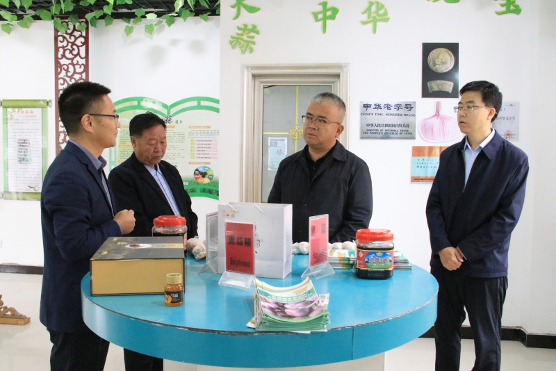 张鹏调研群众身边不正之风和腐败问题集中整治工作