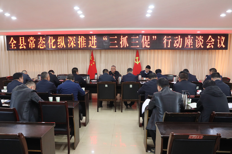 张鹏调研督导常态化纵深推进“三抓三促”行动