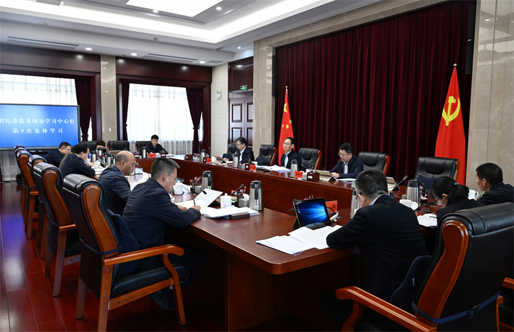 甘肃省纪委监委理论学习中心组举行集体学习 专题学习研讨习近平总书记视察甘肃重要讲话重要指示精神 甘肃省纪委监委理论学习中心组举行集体学习 专题学习研讨习近平总书记视察甘肃重要讲话重要指示精神