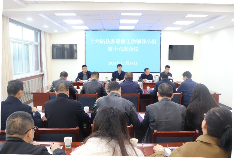 十六届县委巡察工作领导小组第16次会议召开