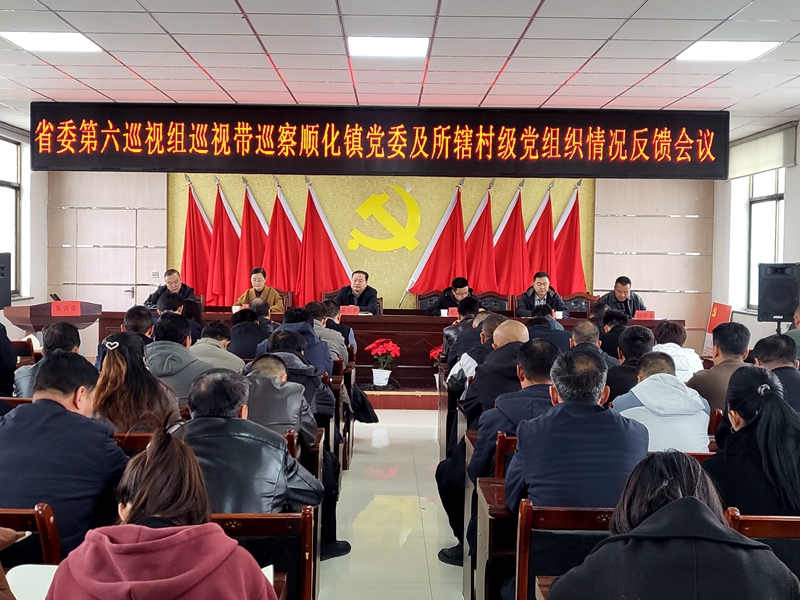 十四届省委第五轮巡视带巡察县委巡察组完成反馈