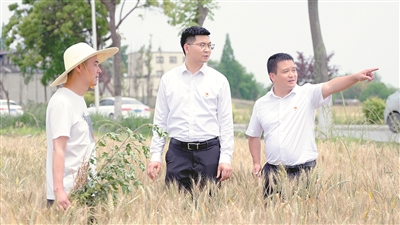 正风反腐在身边·记者百县行丨 烦心事变舒心事