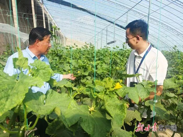 【新甘肃|“三抓三促”身边事】张掖：基层监督执纪更有力了
