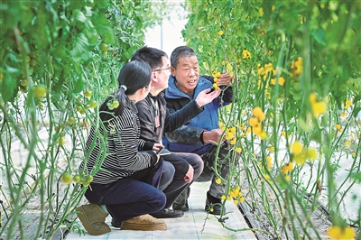 时代专论 | 坚定走好中国特色反腐败之路